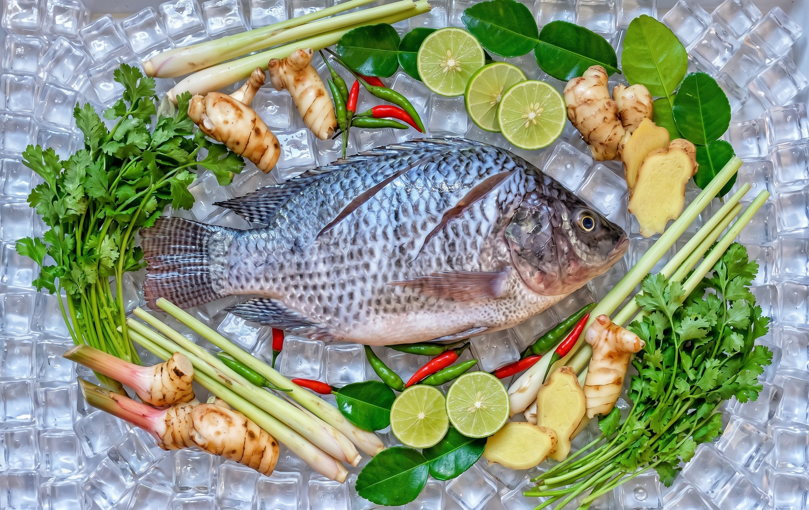 Vietnam’s tilapia exports to the U.S face new competitive pressures 