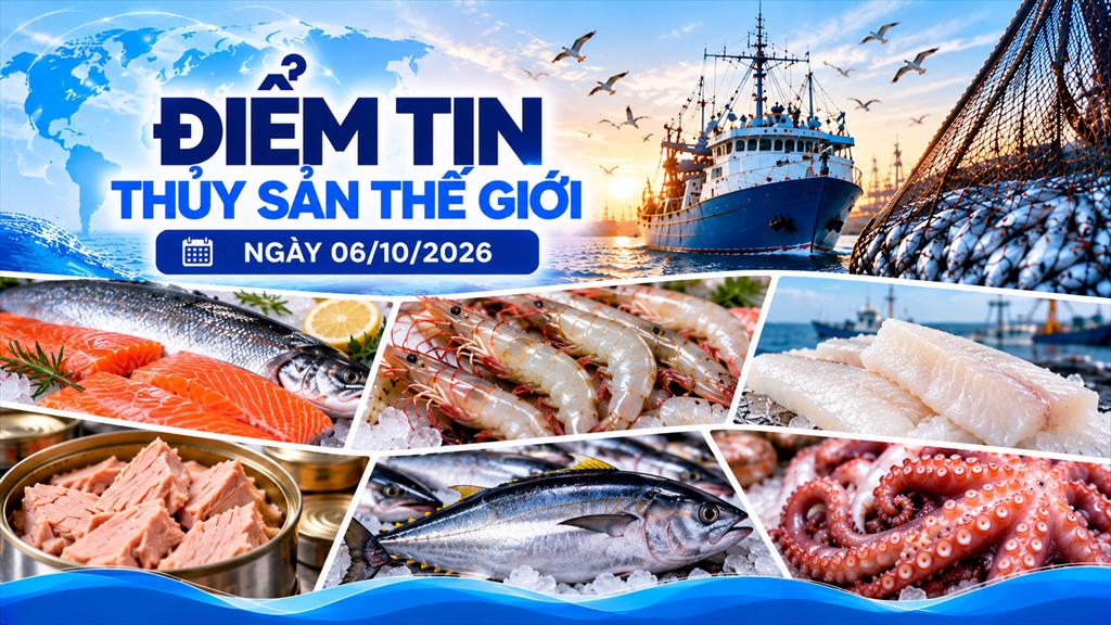 Điểm tin thị trường thủy sản thế giới ngày 6102026