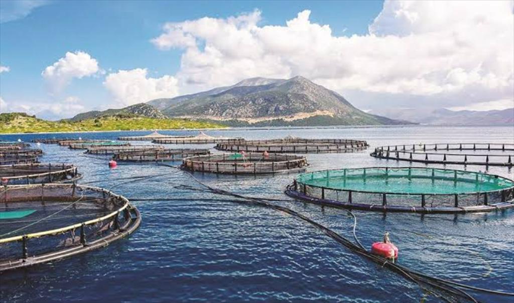 Doanh nghiệp công nghệ mở hướng phát triển mới cho nuôi biển Việt Nam