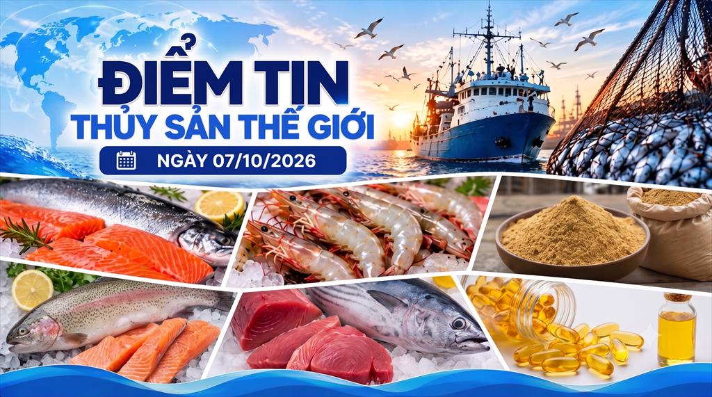 Điểm tin thị trường thủy sản thế giới ngày 7102026