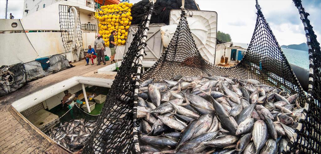 Ghana tăng cường phối hợp chống khai thác IUU