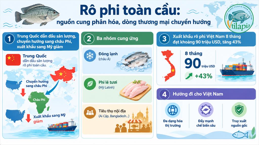 Thị trường cá rô phi toàn cầu tái phân bổ nguồn cung, Việt Nam đứng trước cơ hội mới