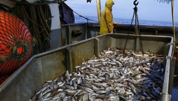 Caribe siết quản lý để bảo vệ ngư dân, ngăn khai thác bất hợp pháp