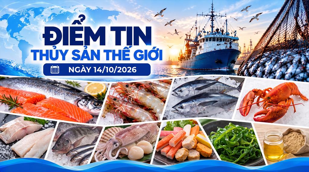 Điểm tin thủy sản thế giới ngày 14102026