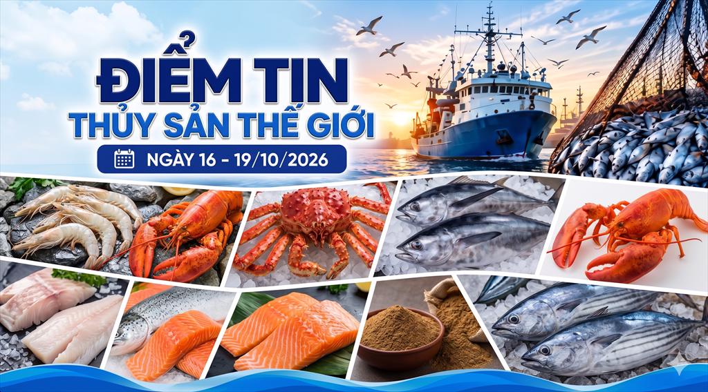 Điểm tin thị trường thủy sản thế giới ngày 16 - 19102026