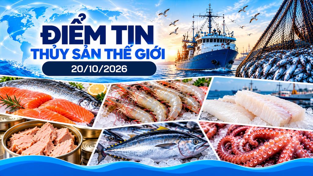 Điểm tin thủy sản thế giới ngày 20102026
