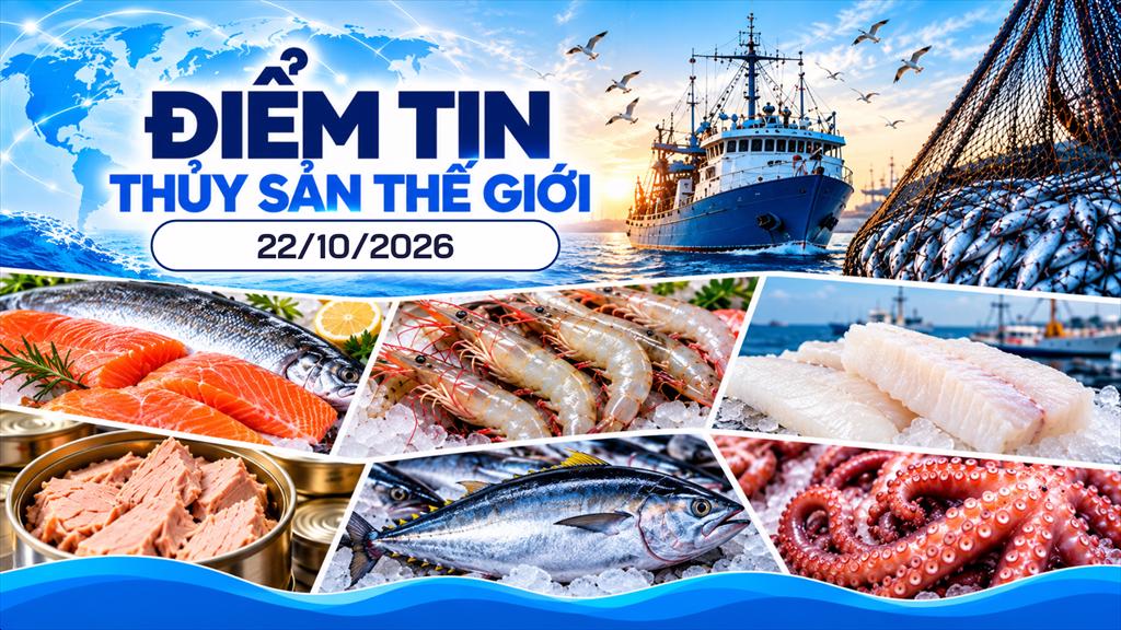 Điểm tin thủy sản thế giới 22102026