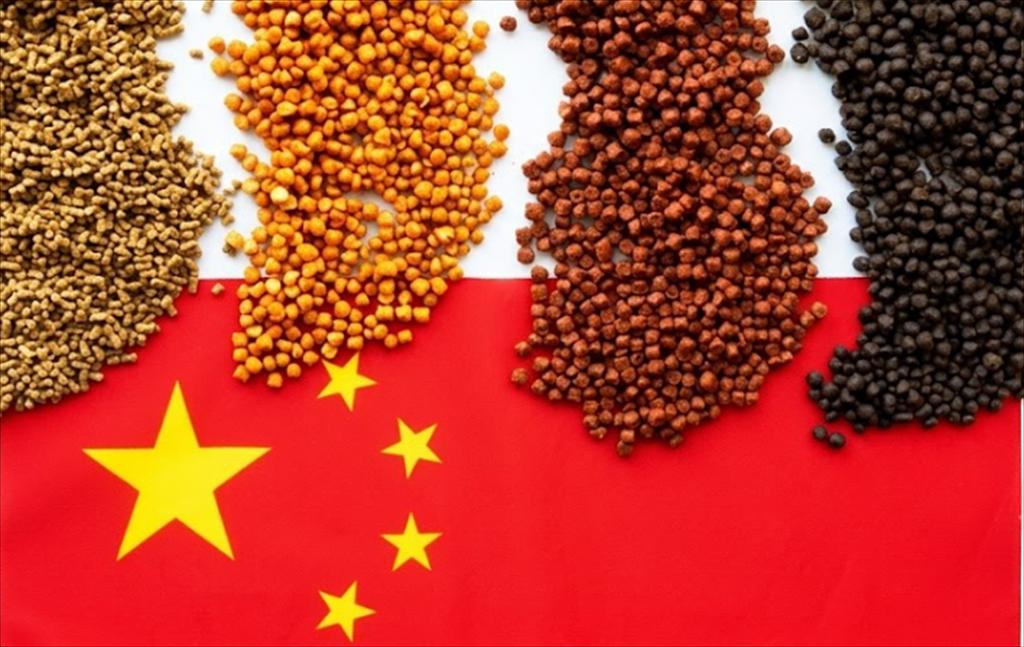 Ngành thức ăn thủy sản Trung Quốc chuyển trọng tâm sang tối ưu hóa sản xuất