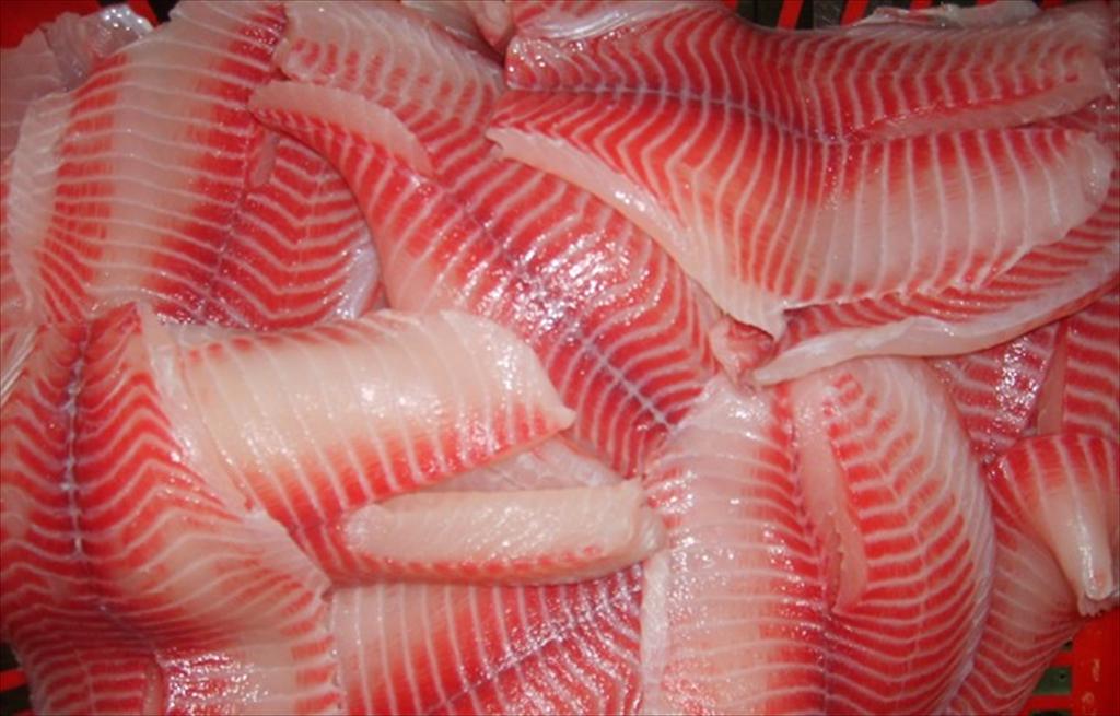 Xuất khẩu cá rô phi sang CPTPP tăng khá nhưng quy mô còn nhỏ