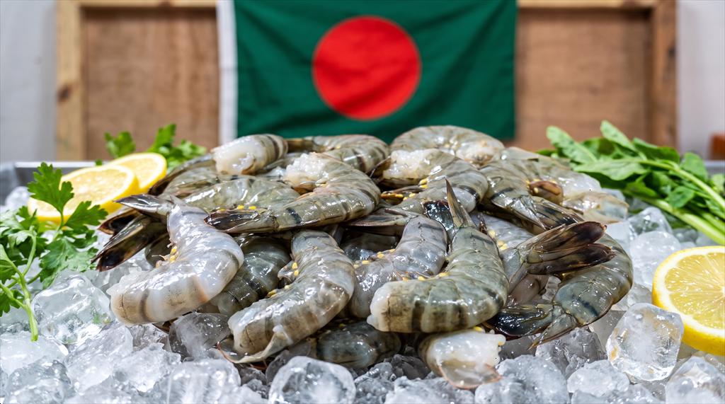 Xuất khẩu tôm sú Bangladesh giảm trong những tháng đầu năm 2026 