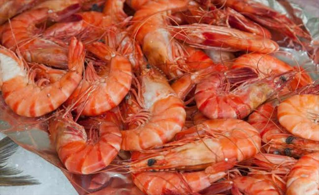 Nhập khẩu tôm EU và Anh tăng 11,3% trong tháng 82026