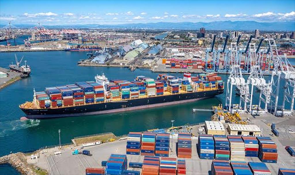 Xuất khẩu thủy sản đi Tây Phi chịu thêm phụ phí 800 USDcontainer lạnh 