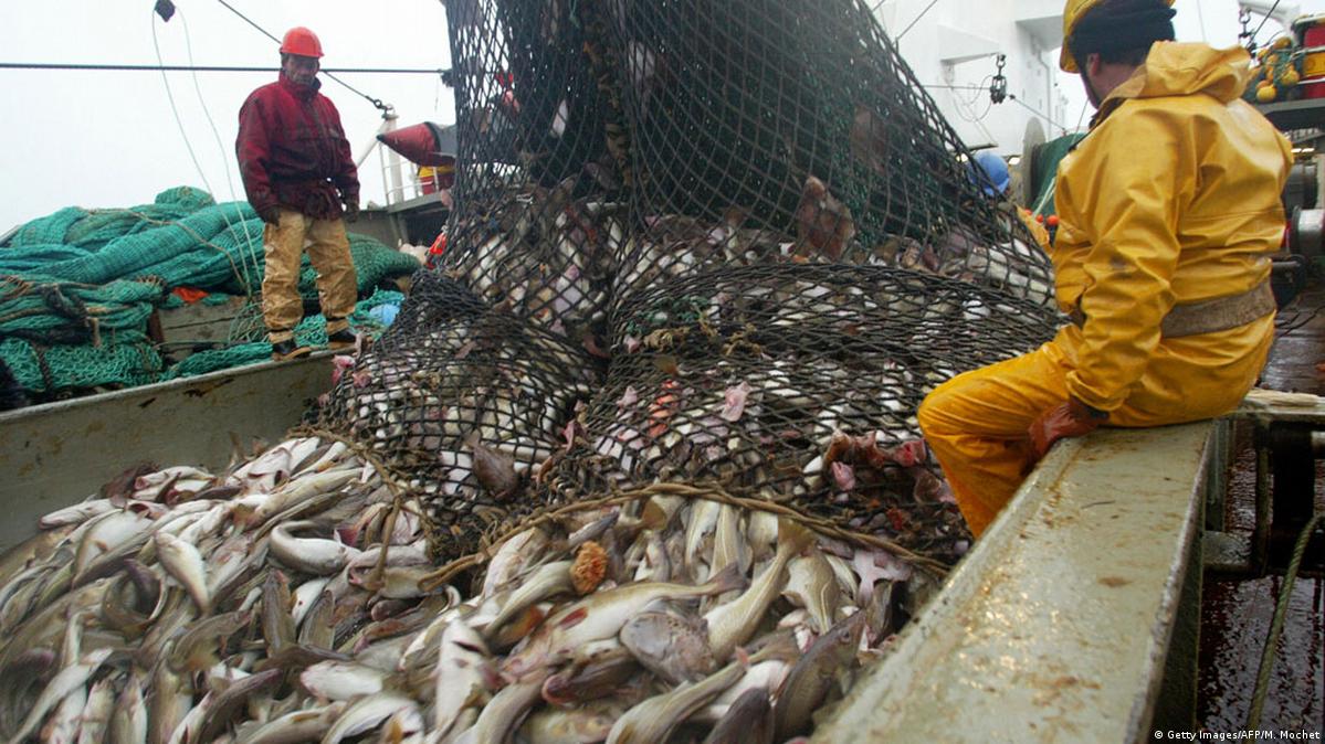 EU công bố tầm nhìn phát triển ngành khai thác và nuôi trồng thủy sản đến năm 2040