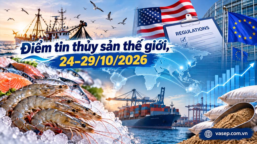 Điểm tin thủy sản thế giới, 24–29102026 