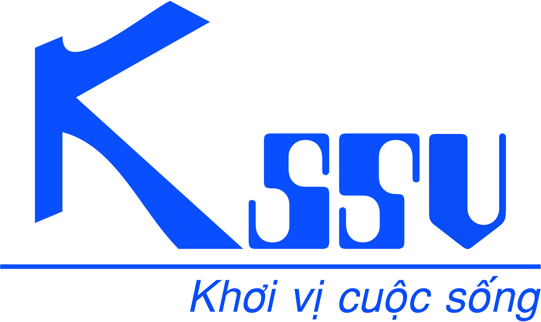 CÔNG TY TNHH KSS VIỆT NAM