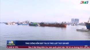 [Video] Tăng cường kiểm soát tàu cá theo Luật thủy sản mới