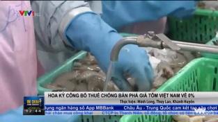 [Video] Mỹ Công bố thuế chống bán phá giá tôm Việt Nam về 0%
