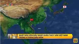 [Video] Nhật Bản dẫn đầu nhập khẩu thủy sản Việt Nam trong 4 tháng đầu năm 2019