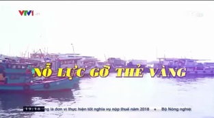 [Video] Việt Nam nỗ lực khắc phục thẻ vàng thủy sản