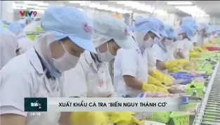 [Video] Dịch COVID-19 Thời điểm sàng lọc và tái cơ cấu ngành hàng cá tra