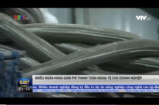 [Video] Nhiều ngân hàng giảm phí thanh toán ngoại tệ cho DN