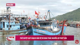 [Video] Phê duyệt Quy hoạch bảo vệ và khai thác nguồn lợi thuỷ sản