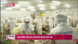 [Video] Ảnh hưởng của dịch Covid-19 đến ngành thủy sản