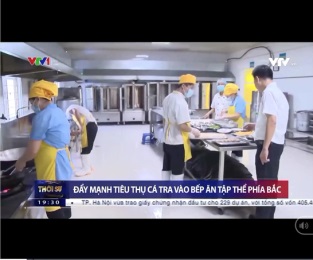 [Video] Đẩy mạnh tiêu thụ cá tra vào bếp ăn tập thể phía Bắc