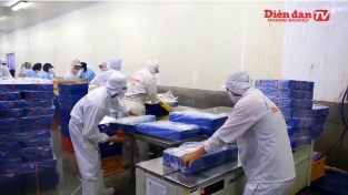 [Video] EVFTA giúp doanh nghiệp Việt sớm phục hồi hậu COVID-19