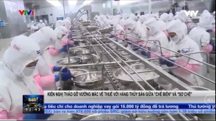 [Video] Kiến nghị tháo gỡ vướng mắc về thuế với thủy sản “chế biến” và “sơ chế”