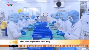 [Video] Xuất khẩu tôm với những gam màu sáng