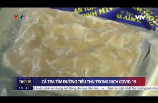 [Video] Cá tra tìm đường tiêu thụ trong đại dịch COVID-19