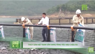 [Video] Thủy sản Việt Nam sẵn sàng tăng tốc vào châu Âu