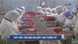 [Video] Xuất khẩu tôm sang Hàn Quốc tăng trưởng tốt