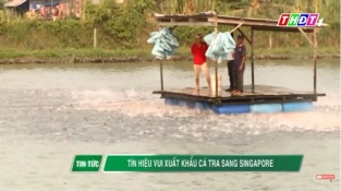 [Video] Tín hiệu vui xuất khẩu cá tra sang Singapore