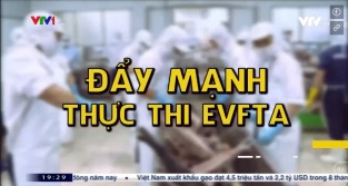 [Video] Đẩy mạnh thực thi EVFTA
