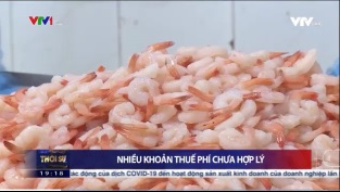 [Video] Cần giảm, giãn thuế phí để “cứu” doanh nghiệp
