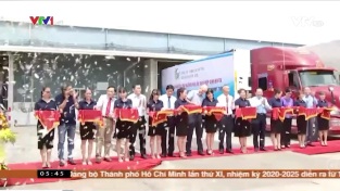 [Video] Giải pháp đẩy mạnh xuất khẩu cá ngừ của Việt Nam sang EU