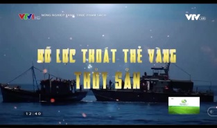 [Video] Nỗ lực thoát khỏi thẻ vàng của thuỷ sản Việt Nam