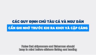 [Video] Các quy định chủ tàu và ngư dân cần ghi nhớ trước khi ra khơi và cập cảng