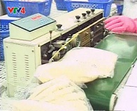 Cá tra Việt Nam khẳng định chất lượng