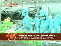 Đề nghị thành lập quỹ Bảo vệ chất lượng và bình ổn giá cá tra