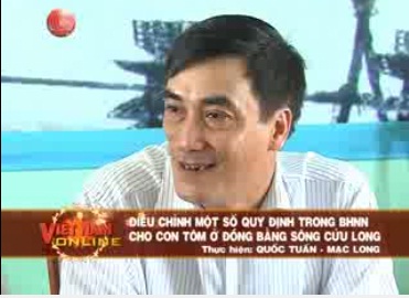 Điều chỉnh một số quy định trong bảo hiểm nông nghiệp cho con tôm ở đồng bằng sông Cửu Long