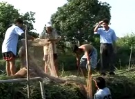 Thủy sản Việt Nam số 01