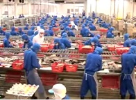 Thủy sản Việt Nam số 04