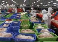 Thủy sản Việt Nam số 08