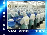 Thủy sản Việt Nam số 25