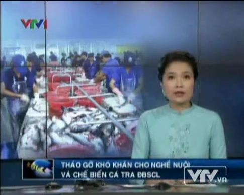 Tháo gỡ khó khăn cho nghề nuôi và chế biến cá tra đồng bằng sông Cửu Long