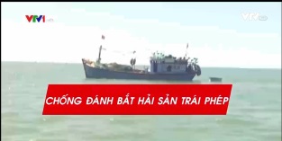 [Video] Chống khai thác bất hợp pháp