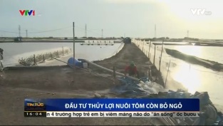 [Video] Đầu tư thủy lợi nuôi tôm còn bỏ ngỏ